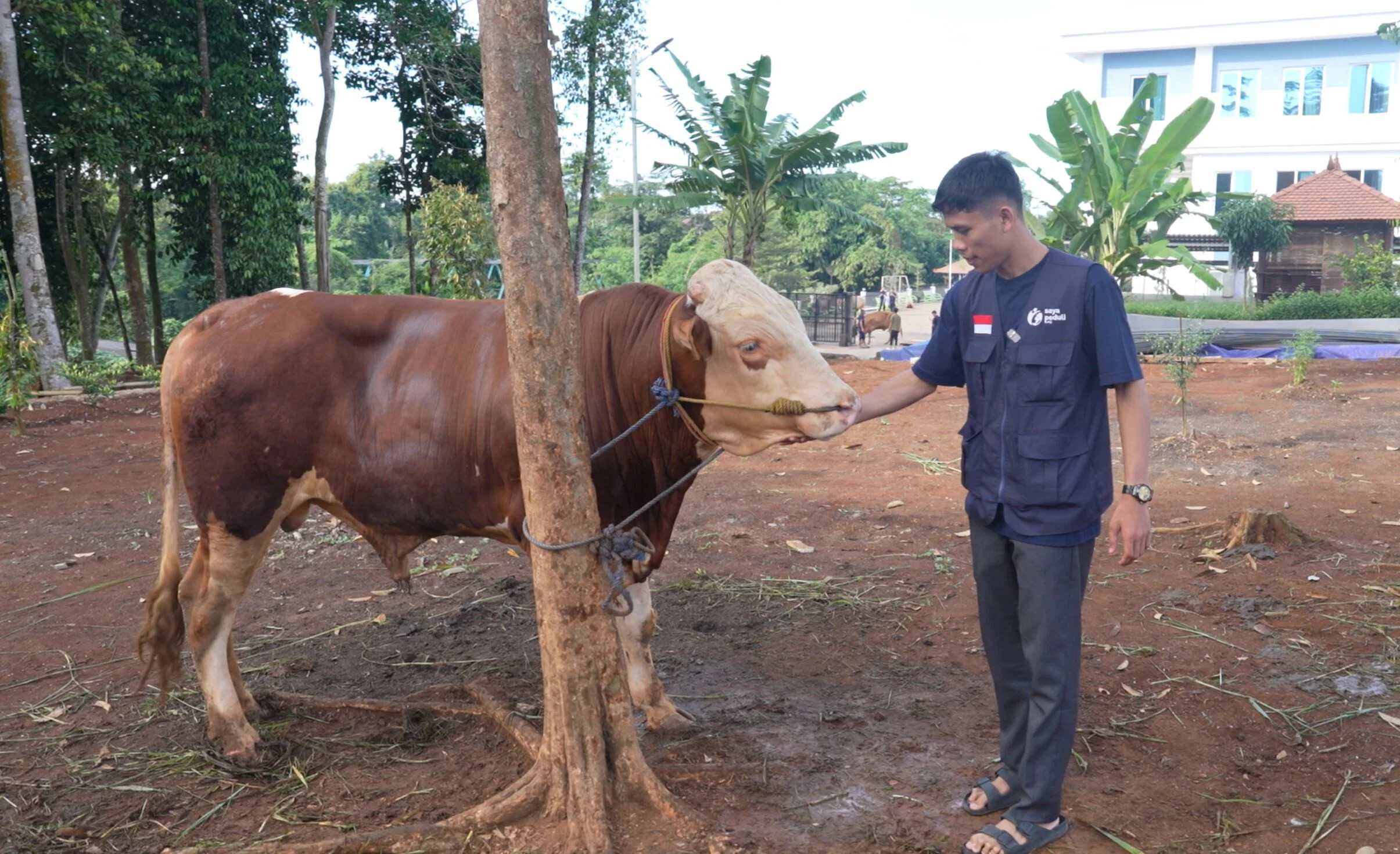 Foto 21 dari album Kurban Bersama Santri Tahfidz 2026